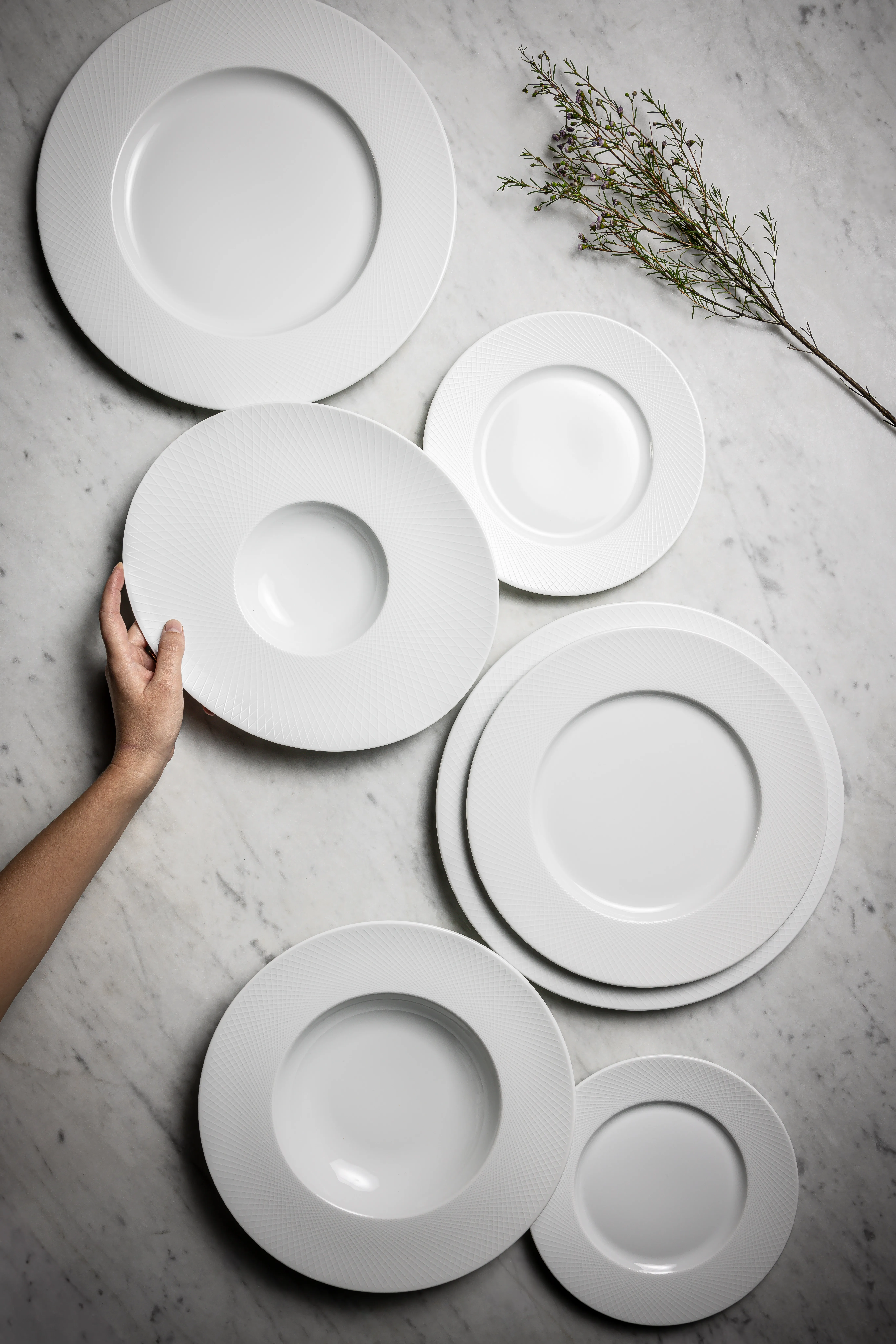 Degrenne Graphique Classique Collection White